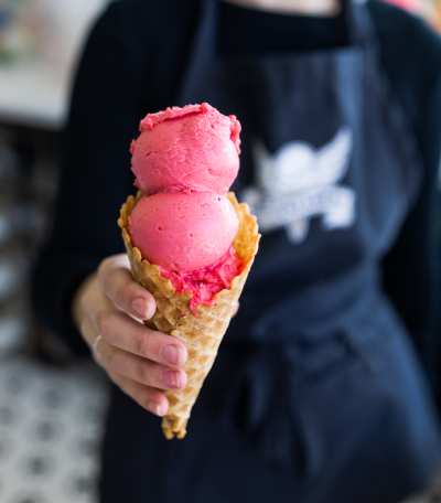 Vegan Prickly Pear Sorbet